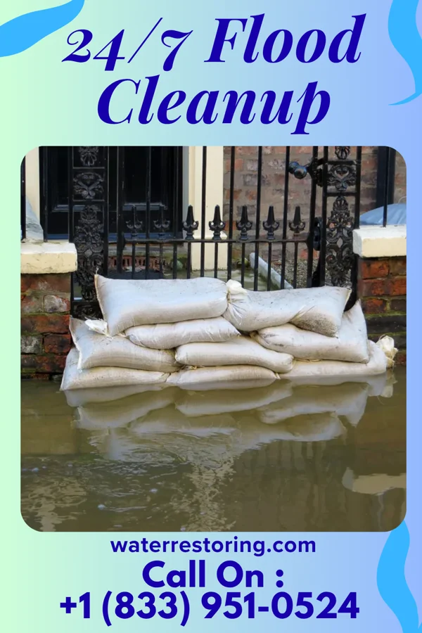 24/7 Flood Cleanup in Hendrix, OK